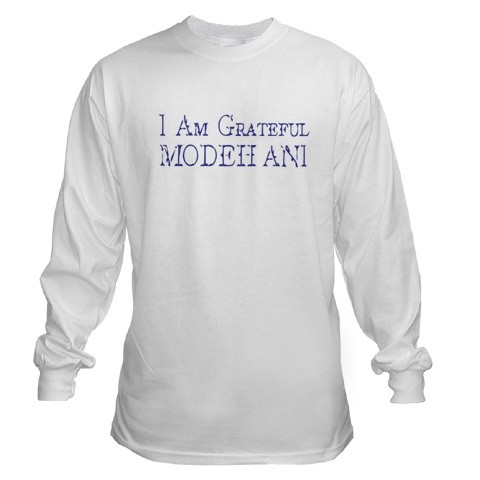 men's_long_sleeve_t_shirt